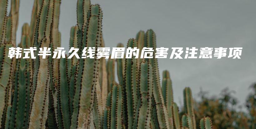 韓式半永久線霧眉的危害及注意事項(xiàng)插圖