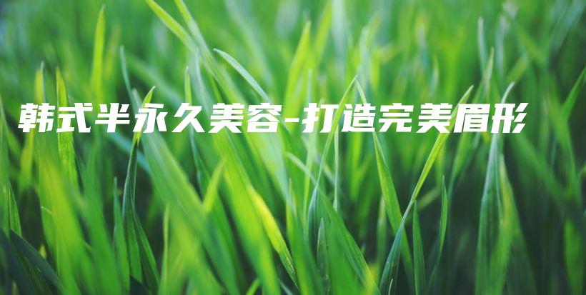 韓式半永久美容-打造完美眉形插圖
