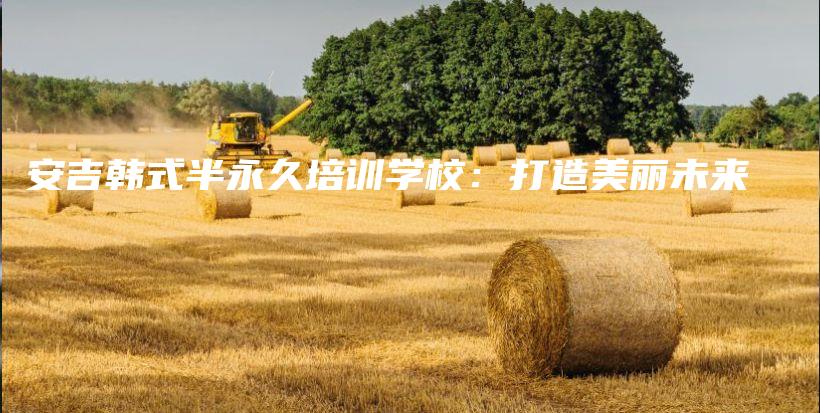 安吉韓式半永久培訓(xùn)學(xué)校：打造美麗未來插圖