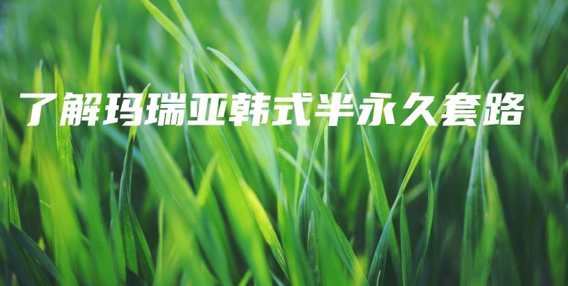 了解瑪瑞亞韓式半永久套路插圖
