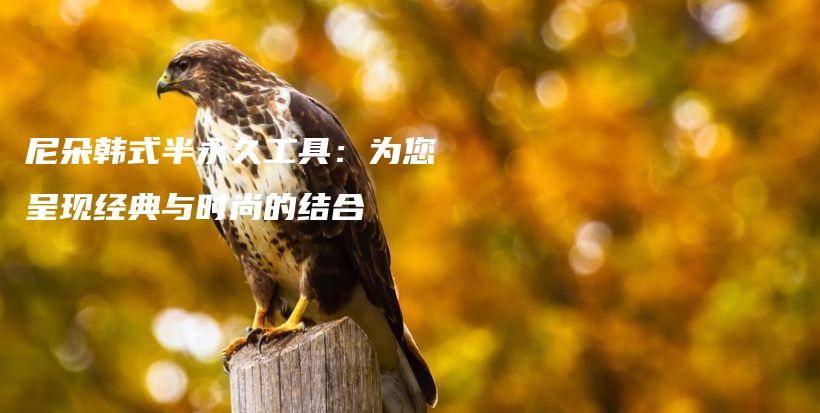尼朵韓式半永久工具：為您呈現(xiàn)經(jīng)典與時尚的結合插圖
