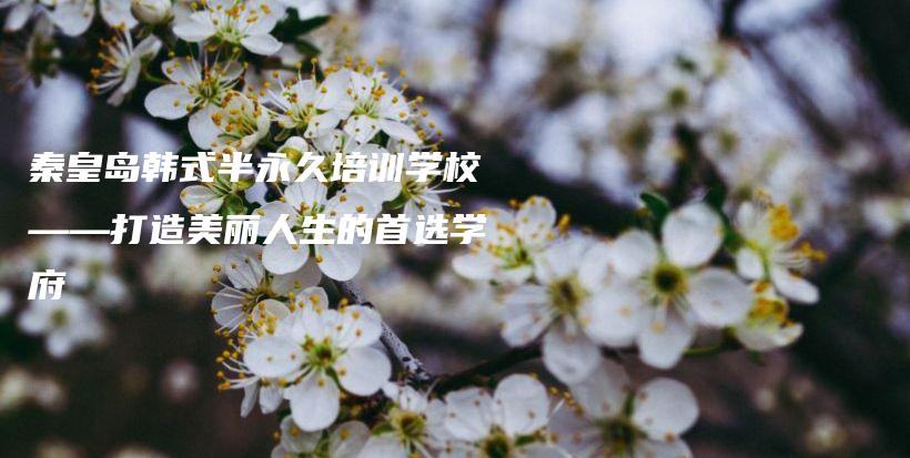 秦皇島韓式半永久培訓學?！蛟烀利惾松氖走x學府插圖