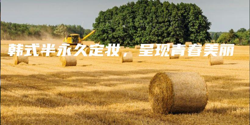 韓式半永久定妝，呈現(xiàn)青春美麗插圖