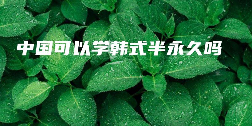 中國可以學(xué)韓式半永久嗎插圖