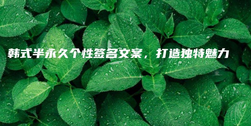 韓式半永久個性簽名文案，打造獨特魅力插圖