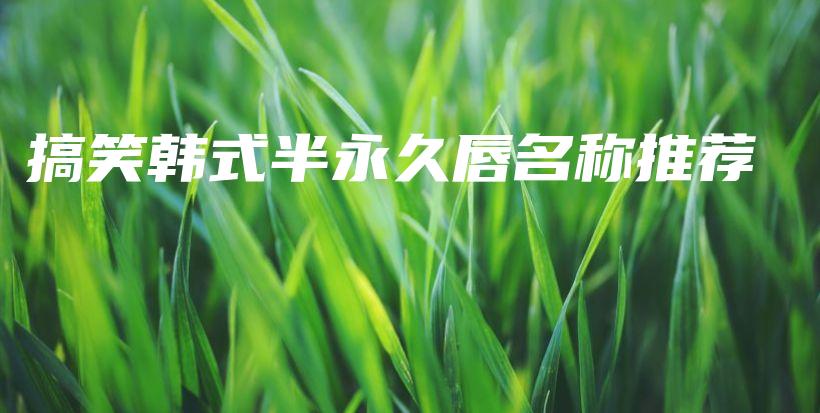搞笑韓式半永久唇名稱推薦插圖