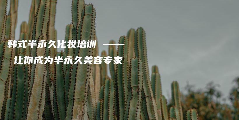 韓式半永久化妝培訓(xùn) —— 讓你成為半永久美容專(zhuān)家插圖