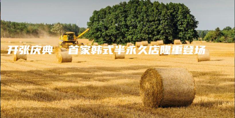 開張慶典  首家韓式半永久店隆重登場(chǎng)插圖