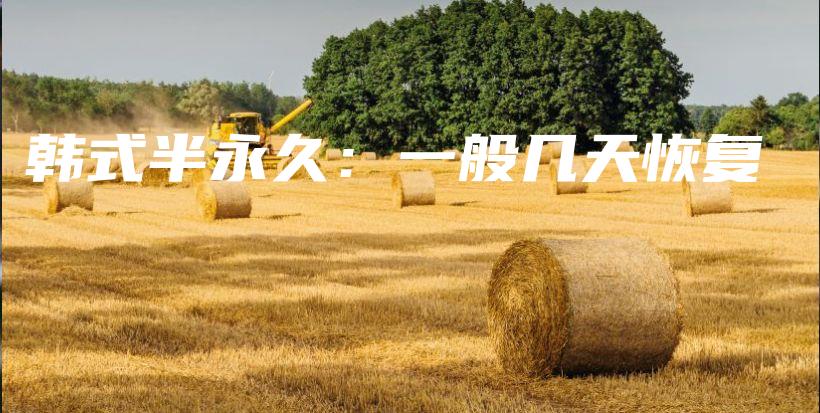韓式半永久：一般幾天恢復(fù)插圖