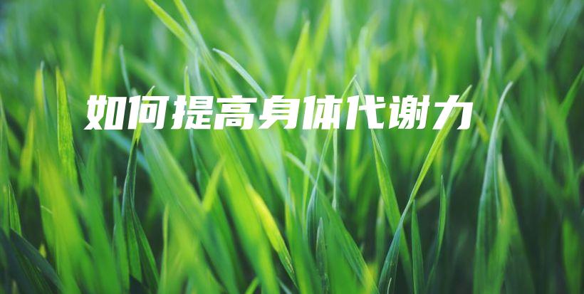 如何提高身體代謝力插圖