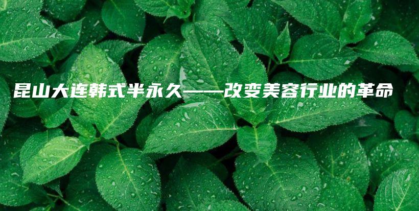 昆山大連韓式半永久——改變美容行業(yè)的革命插圖