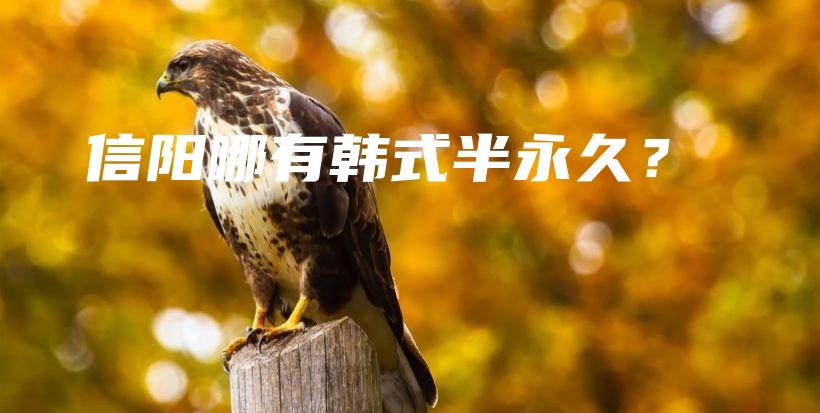 信陽哪有韓式半永久？插圖