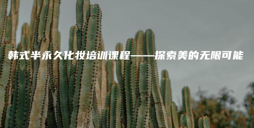 韓式半永久化妝培訓(xùn)課程——探索美的無限可能插圖
