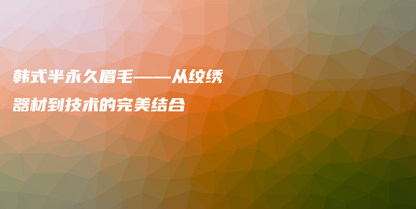 韓式半永久眉毛——從紋繡器材到技術(shù)的完美結(jié)合插圖