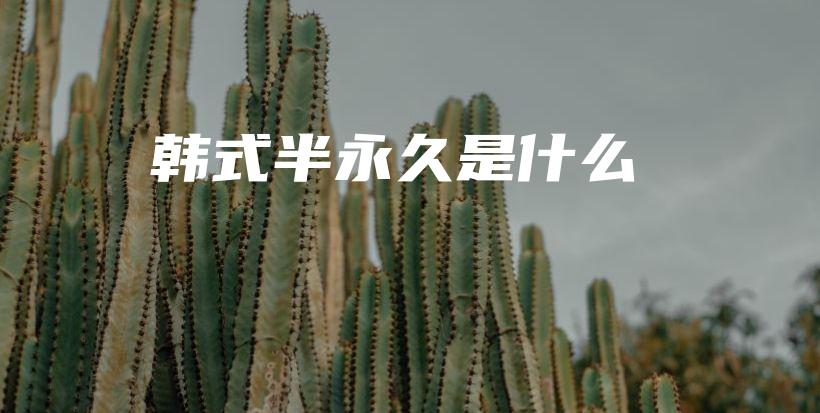 韓式半永久是什么插圖