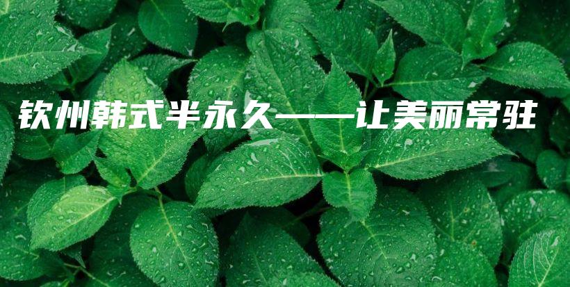 欽州韓式半永久——讓美麗常駐插圖