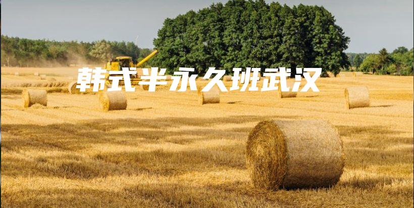 韓式半永久班武漢插圖