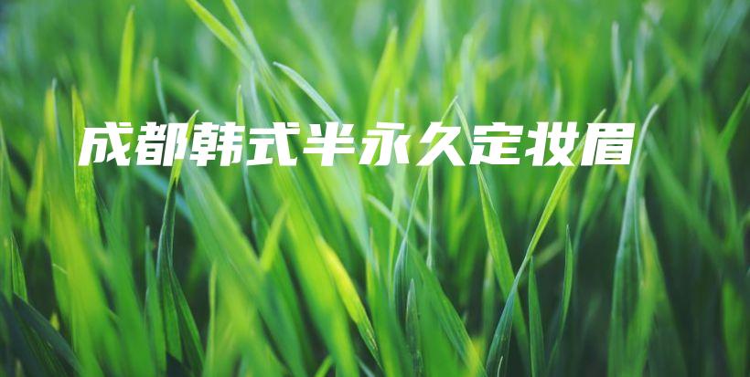 成都韓式半永久定妝眉插圖