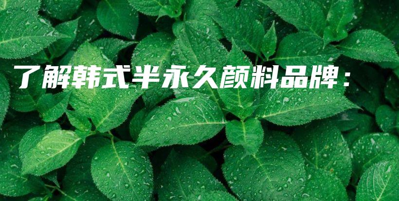 了解韓式半永久顏料品牌：插圖