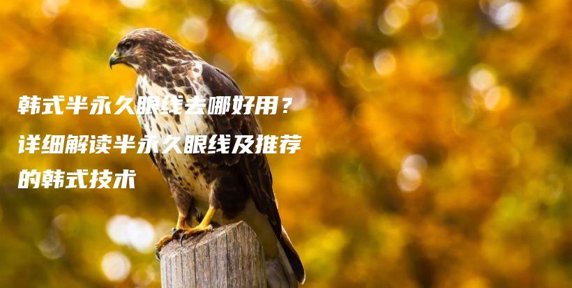 韓式半永久眼線去哪好用？詳細解讀半永久眼線及推薦的韓式技術插圖
