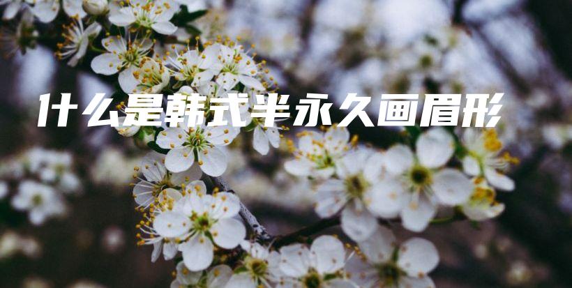 什么是韓式半永久畫眉形插圖