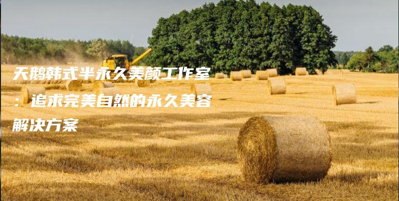 天鵝韓式半永久美顏工作室：追求完美自然的永久美容解決方案插圖