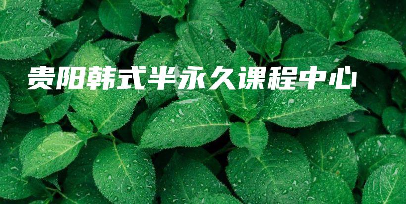 貴陽韓式半永久課程中心插圖