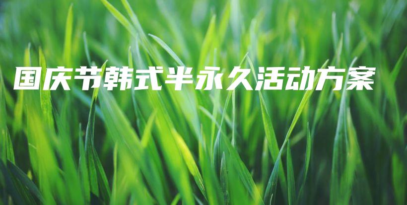 國慶節(jié)韓式半永久活動方案插圖