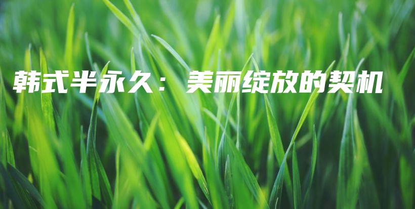 韓式半永久：美麗綻放的契機(jī)插圖
