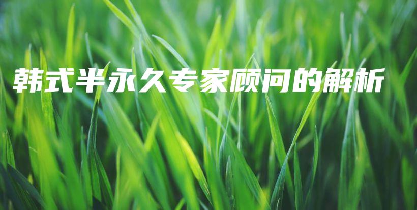 韓式半永久專家顧問(wèn)的解析插圖