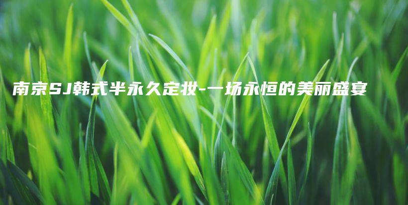 南京SJ韓式半永久定妝-一場永恒的美麗盛宴插圖
