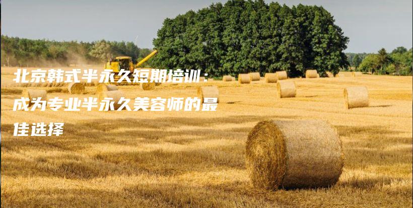 北京韓式半永久短期培訓(xùn)：成為專業(yè)半永久美容師的最佳選擇插圖