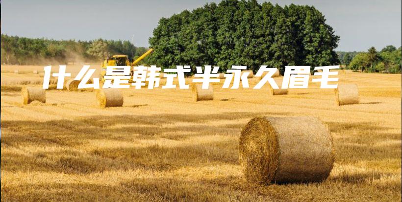 什么是韓式半永久眉毛插圖