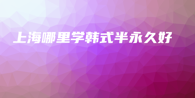 上海哪里學(xué)韓式半永久好插圖