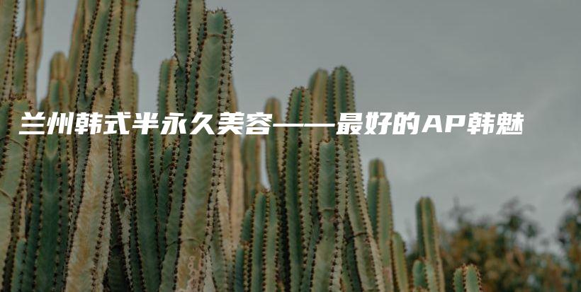 蘭州韓式半永久美容——最好的AP韓魅插圖