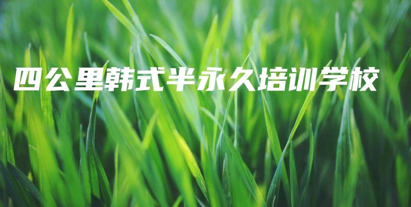 四公里韓式半永久培訓(xùn)學(xué)校插圖