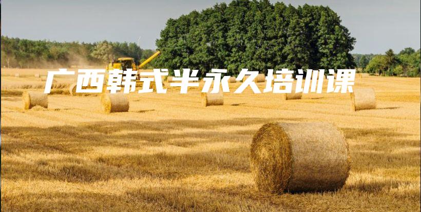 廣西韓式半永久培訓課插圖