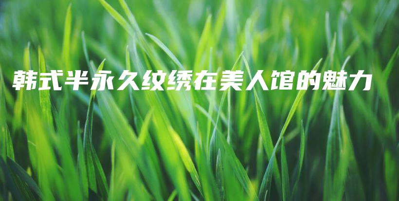 韓式半永久紋繡在美人館的魅力插圖