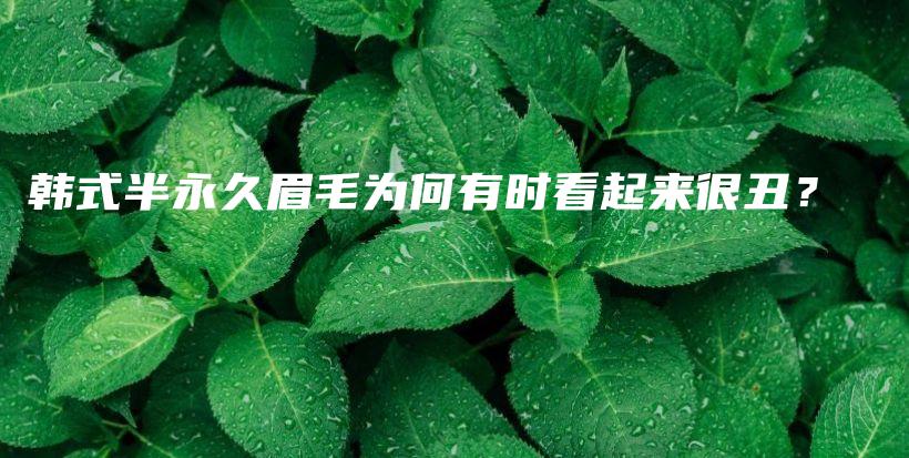 韓式半永久眉毛為何有時看起來很丑？插圖