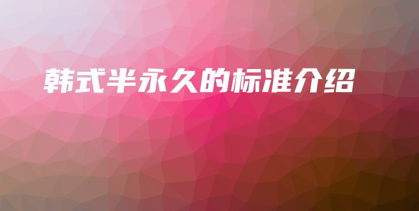 韓式半永久的標(biāo)準(zhǔn)介紹插圖