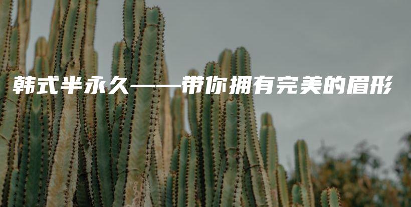 韓式半永久——帶你擁有完美的眉形插圖