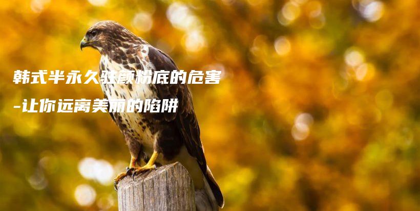 韓式半永久駐顏粉底的危害-讓你遠(yuǎn)離美麗的陷阱插圖