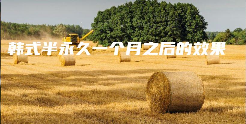 韓式半永久一個(gè)月之后的效果插圖