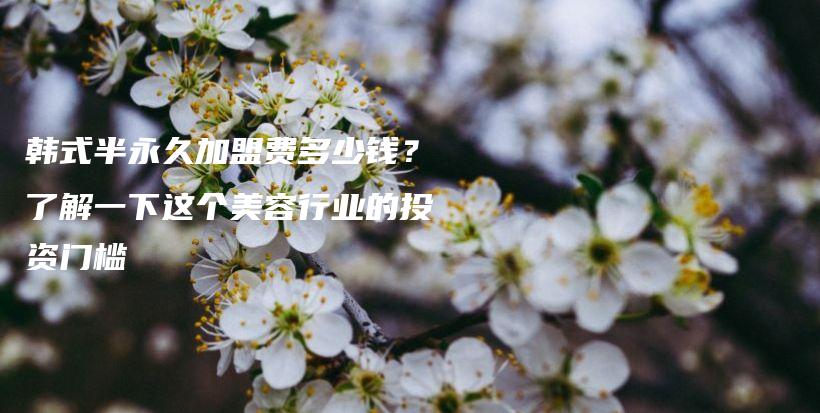 韓式半永久加盟費(fèi)多少錢(qián)？了解一下這個(gè)美容行業(yè)的投資門(mén)檻插圖