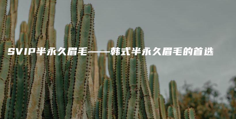 SVIP半永久眉毛——韓式半永久眉毛的首選插圖