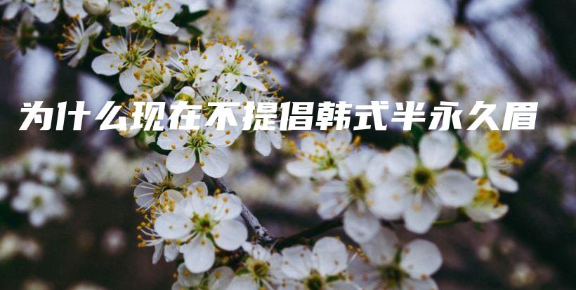 為什么現(xiàn)在不提倡韓式半永久眉插圖