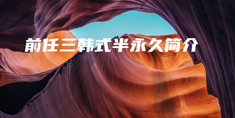 前任三韓式半永久簡介插圖