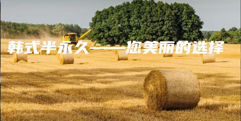 韓式半永久——您美麗的選擇插圖