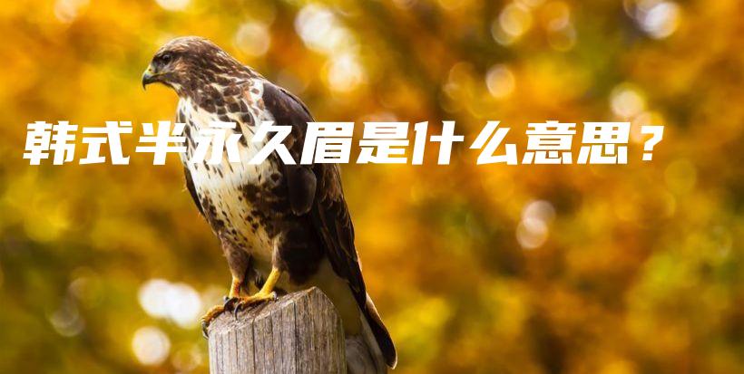 韓式半永久眉是什么意思？插圖