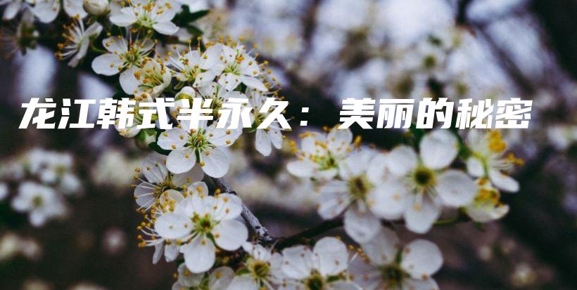 龍江韓式半永久：美麗的秘密插圖